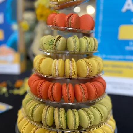 Hotel Belweder Ustroň