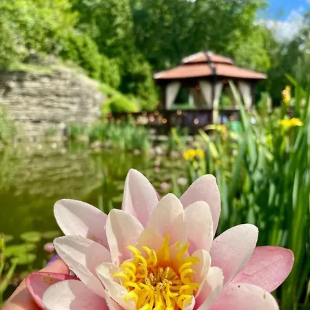 Hotel Belweder Ustroń