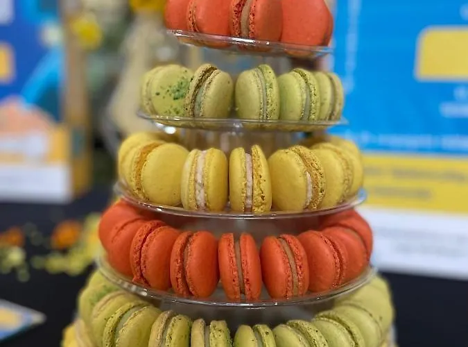 Hotel Belweder Ustroń