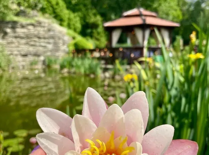 Hotel Belweder Ustron